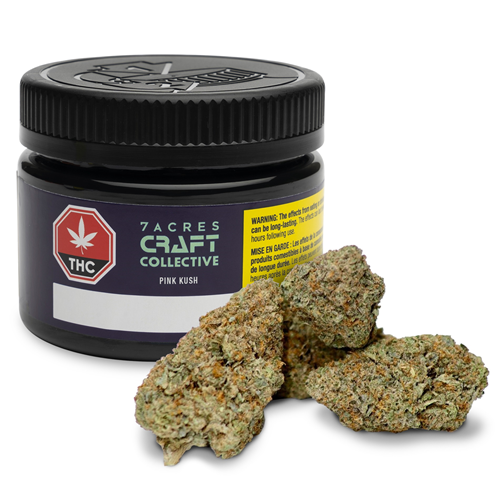 Craft Collective: Pink Kush - 7ACRES - Dried Flower