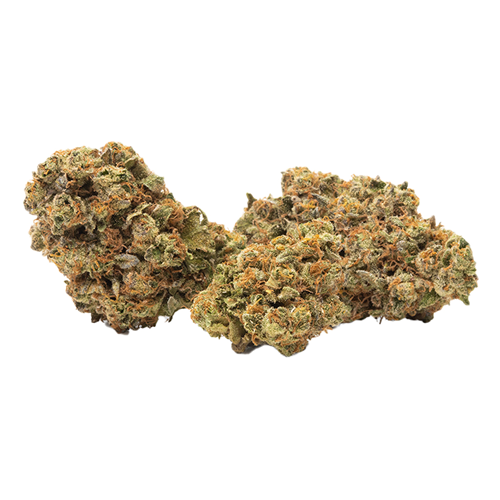 Frosted Cherry Cookies - Qwest - Dried Flower