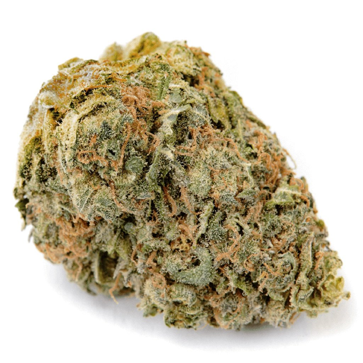No. 402 Blueberry Kush - Haven St. - Dried Flower
