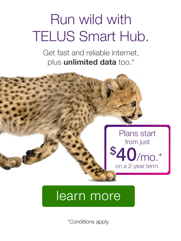 TELUS Smart Hub offers fast, reliable internet. No kidding!