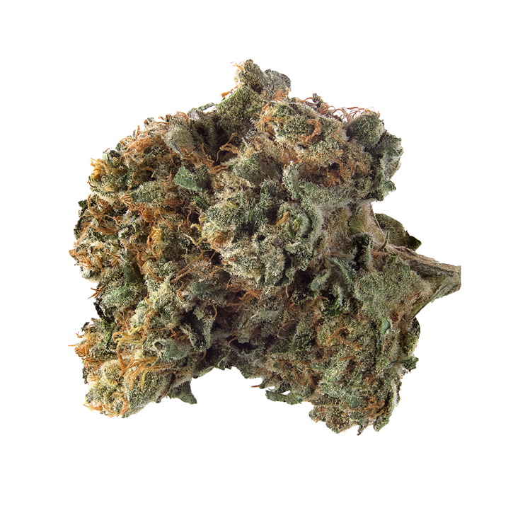 Pineapple Cake - Qwest - Dried Flower