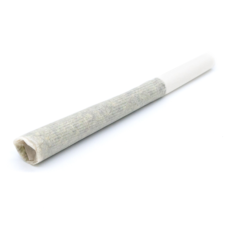 Sour Girl - BOLD - Pre-Roll