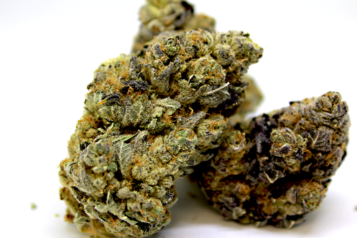 Blueberry Kush - SYNR.G - Dried Cannabis