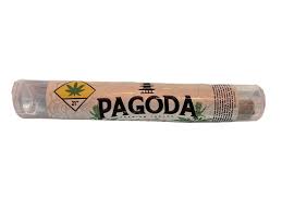 Pagoda Pre-Roll Outrageous Tangie