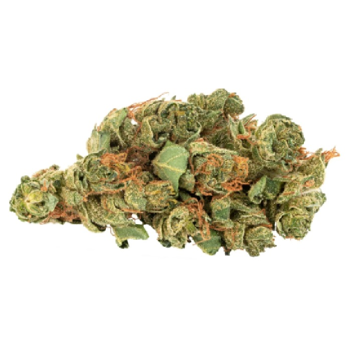 Sativa - Daily Special - Dried Flower