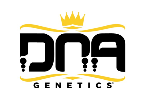 Lemon Skunk - DNA Genetics - Pre-Roll