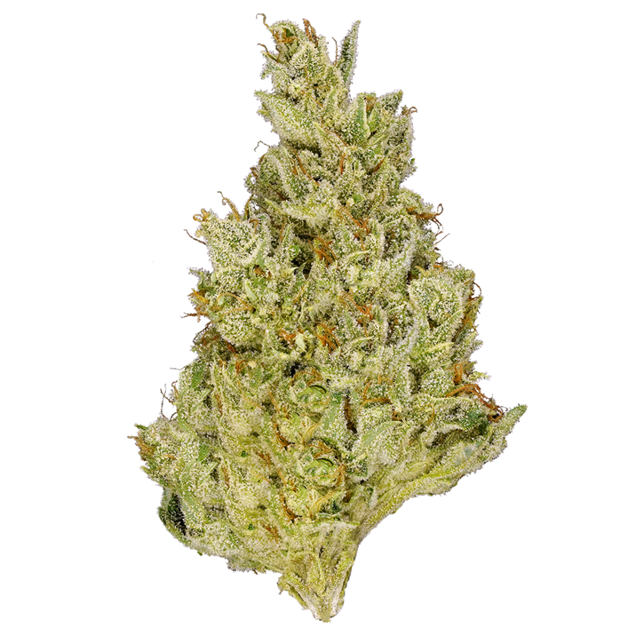 Pacific OG - Tantalus - Dried Flower