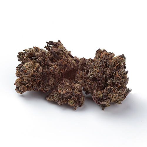 ACDC Cookies - Natural History - Dried Flower