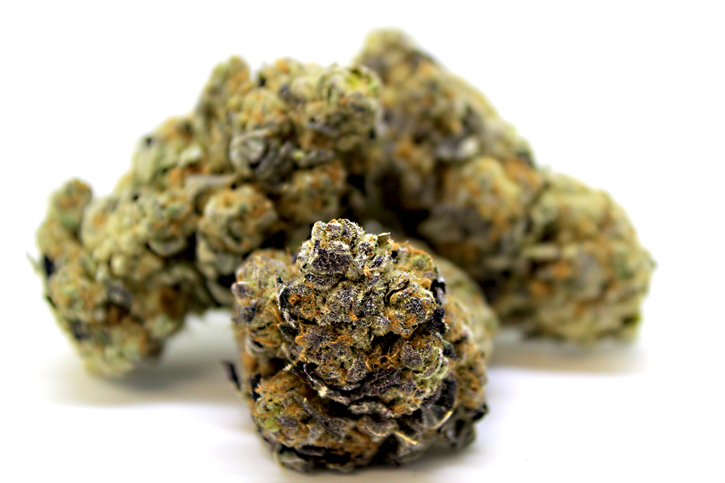Blueberry Kush - SYNR.G - Dried Cannabis