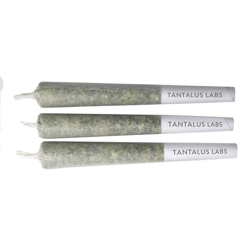 Pacific OG - Tantalus - Pre-Roll