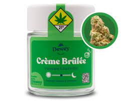 Dewey Cannabis Tiny Trees Creme Brulee