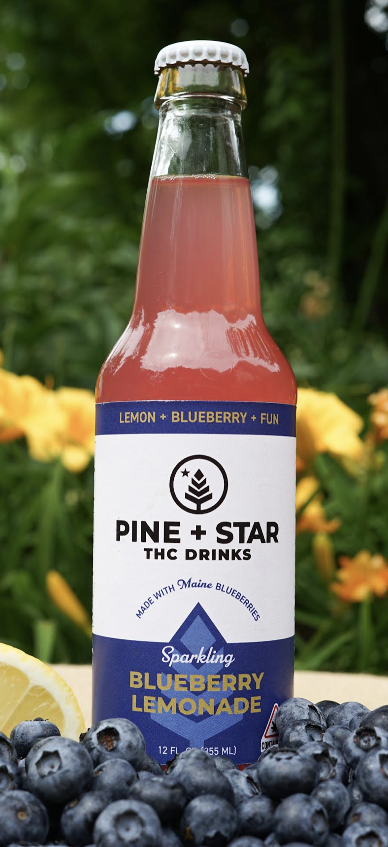 Pine & Star Blueberry Lemonade