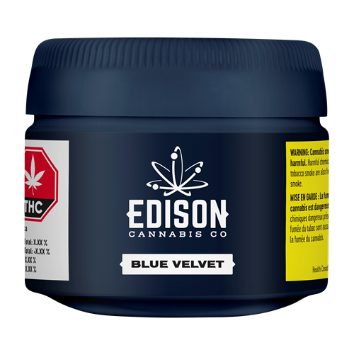 Blue Velvet - Edison - Dried Flower - 3.5g