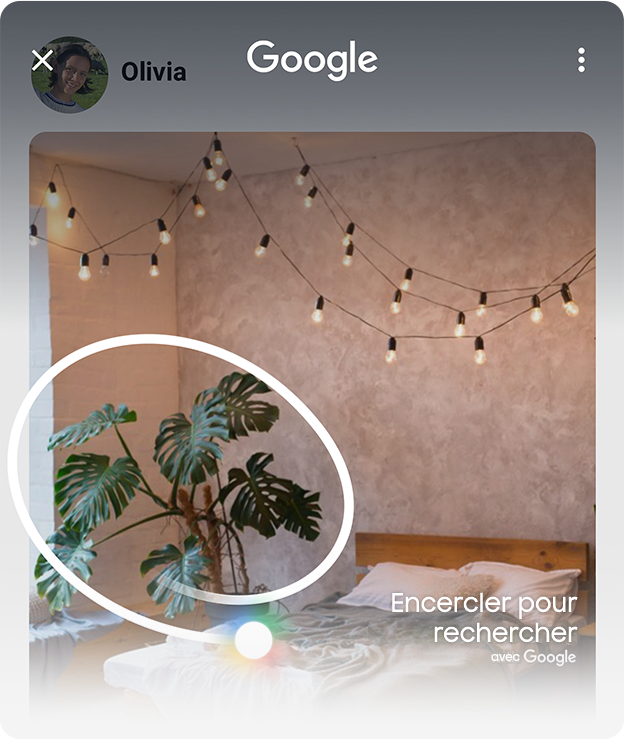 Une plante vue dans une image de publication sur les médias sociaux est tracée à l’écran. Une barre de recherche Google apparaît. La plante est identifiée et connectée à une page de résultats de recherche Google concernant la plante.