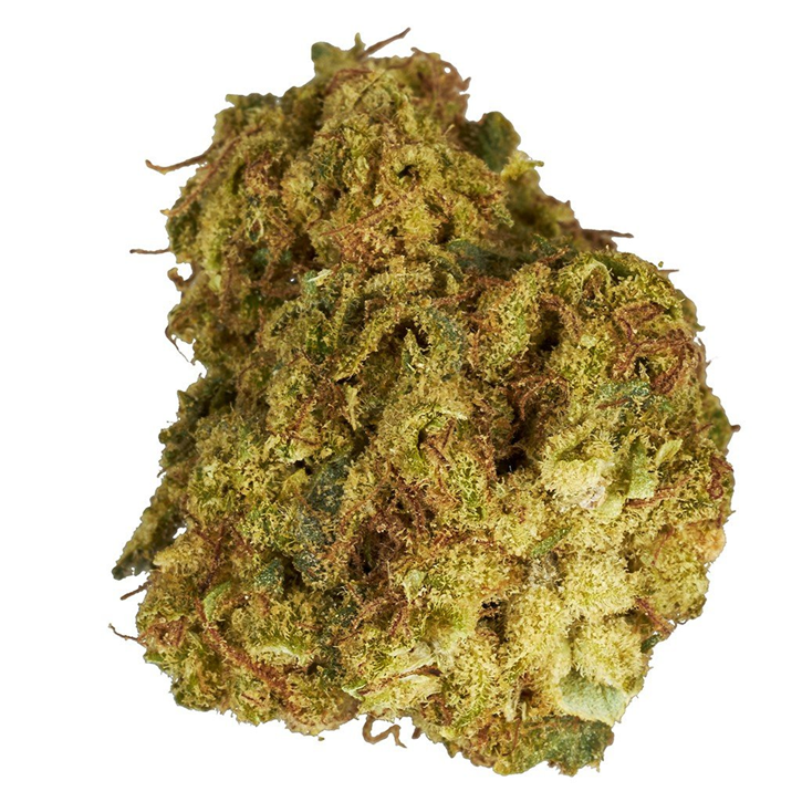 Pedro's Sweet Sativa - Color - Dried Flower
