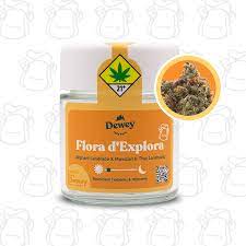 TG Dewey Cannabis Flora d''Explora
