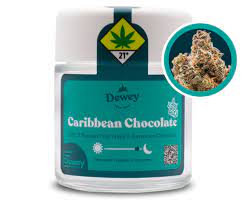 TG Dewey Cannabis Caribbean Chocolate