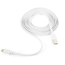 Griffin 10ft USB to Lightning Cable