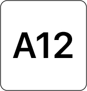 A 12