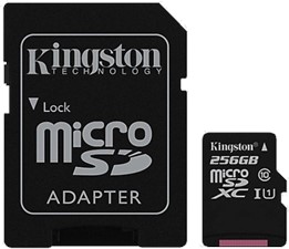 Kingston Canvas Select 256GB microSD Card w/ Adapter