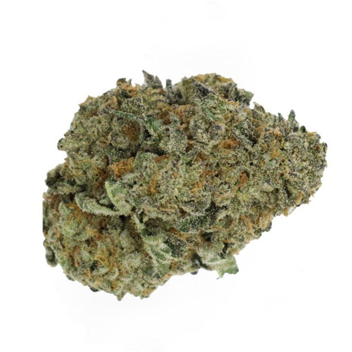 Craft Collective: Ice Cream Cake - 7ACRES - Dried Flower