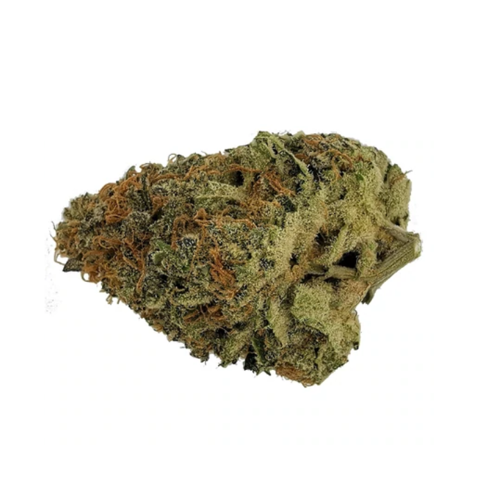 Animal Sorbet - Sitka WeedWorks Micro Collection - Dried Flower